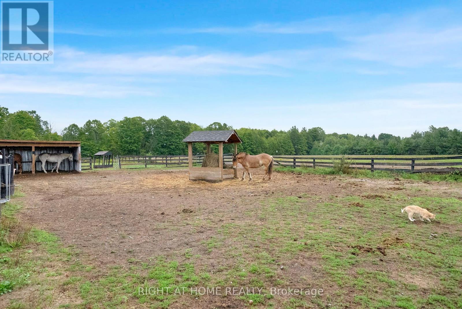 6265 Regional Road 18 Road, Clarington, Ontario  L0A 1J0 - Photo 37 - E12769756