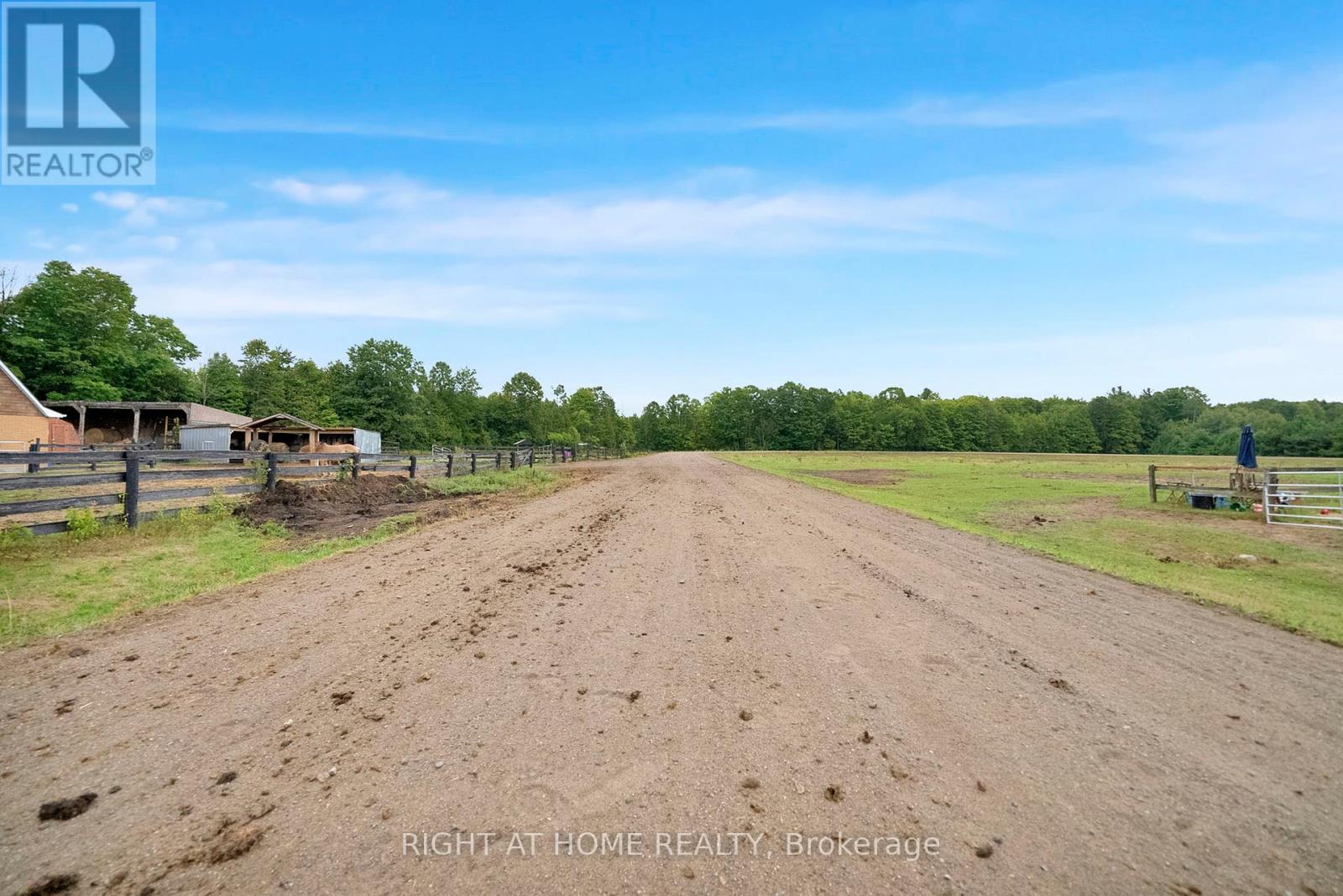 6265 Regional Road 18 Road, Clarington, Ontario  L0A 1J0 - Photo 41 - E12769756