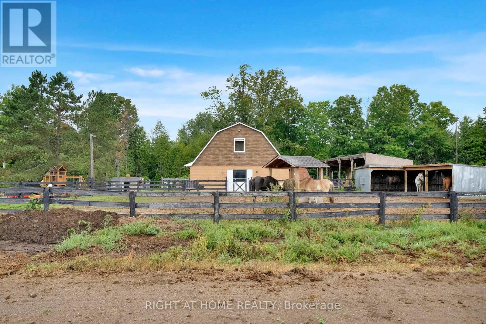 6265 Regional Road 18 Road, Clarington, Ontario  L0A 1J0 - Photo 42 - E12769756