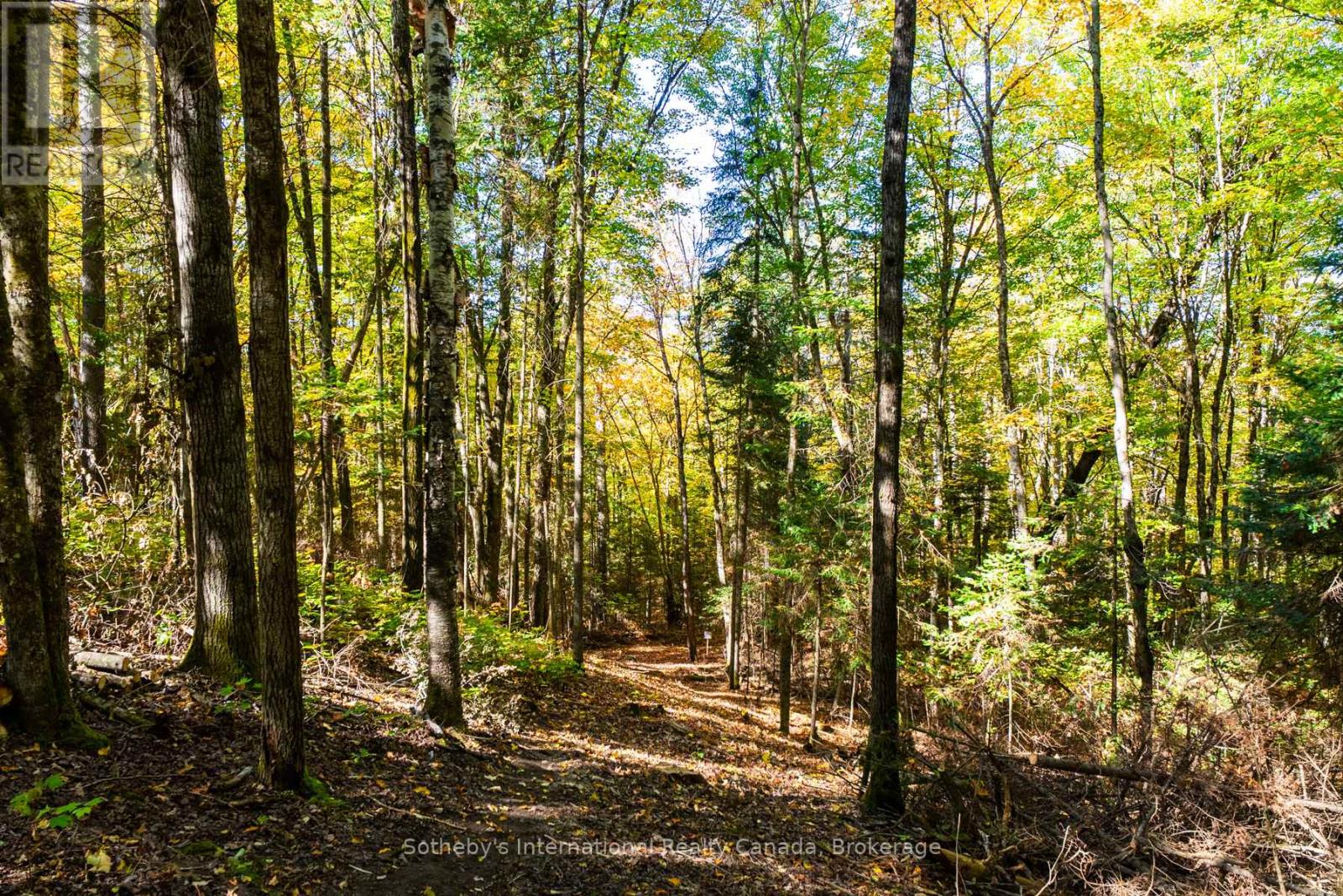 64 Bowyer Road, Huntsville, Ontario  P1H 2J4 - Photo 42 - X12448426