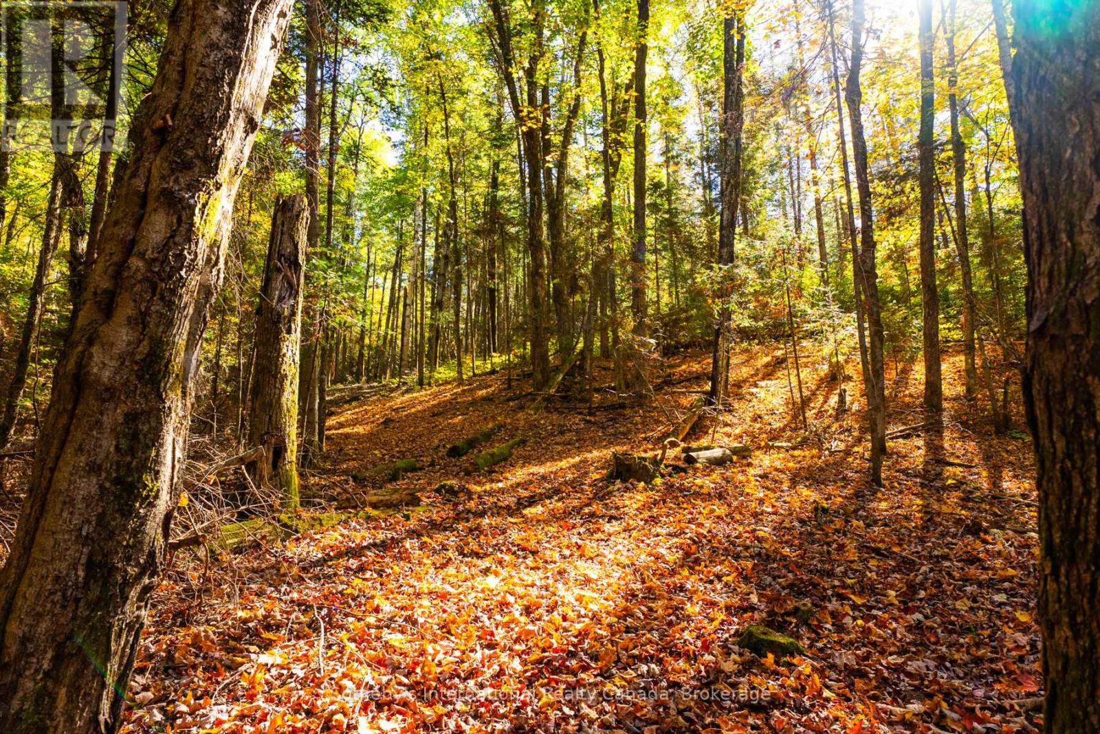 64 Bowyer Road, Huntsville, Ontario  P1H 2J4 - Photo 43 - X12448426