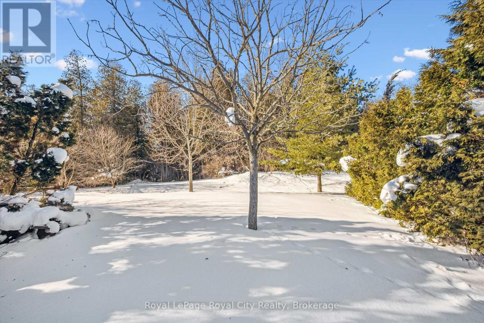 133 Riverwalk Place, Guelph/eramosa, Ontario  N0B 2K0 - Photo 39 - X12766112