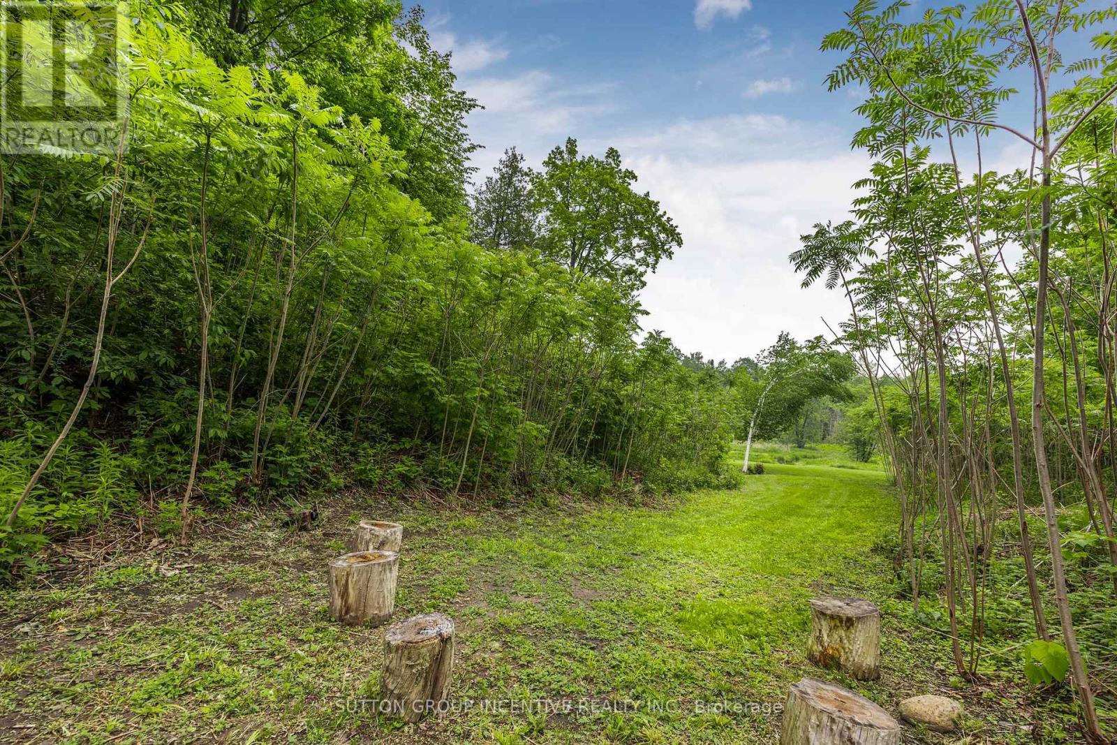 214 Hickory Lane, Barrie, Ontario  L4N 4J8 - Photo 13 - S12769920