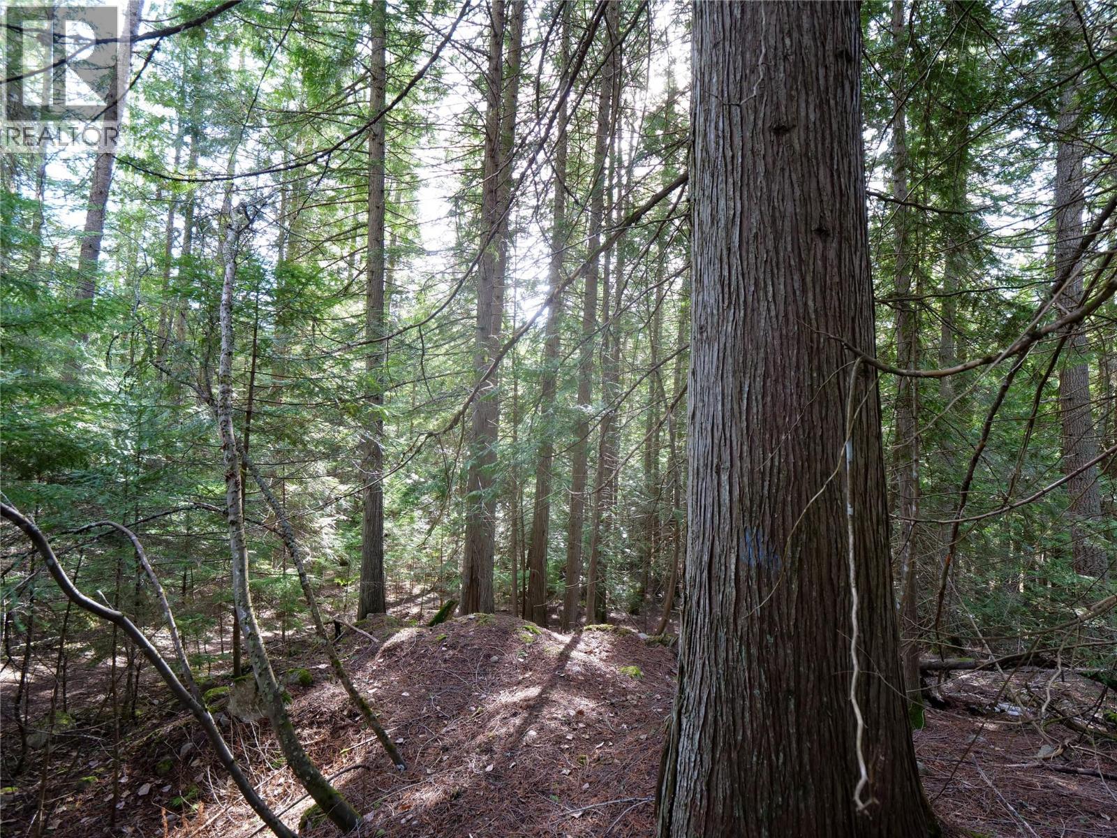 Lot 7 Annable Road, Nelson, British Columbia  V1L 6K5 - Photo 6 - 10374702