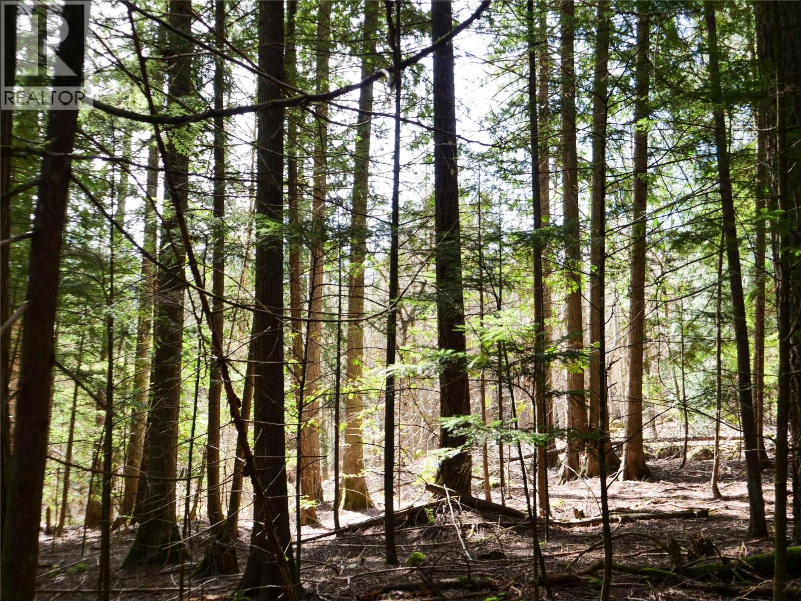 Lot 7 Annable Road, Nelson, British Columbia  V1L 6K5 - Photo 19 - 10374702