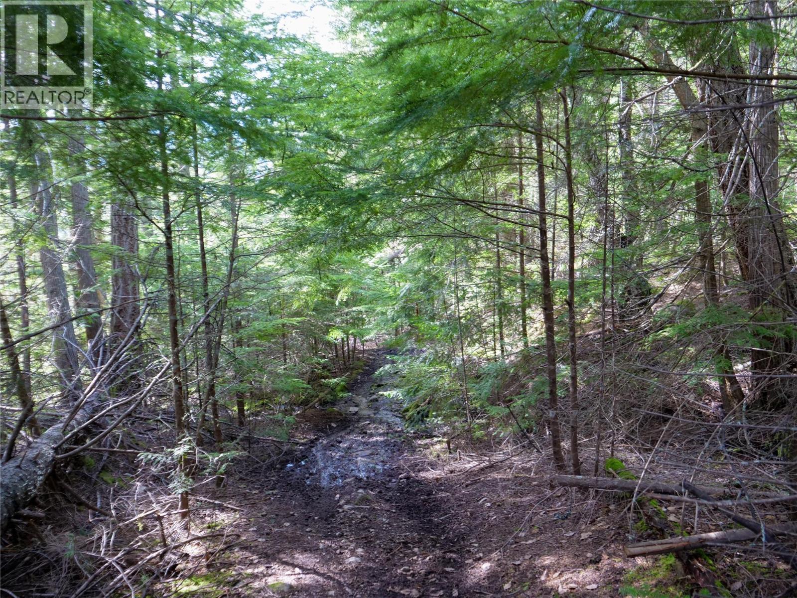 Lot 7 Annable Road, Nelson, British Columbia  V1L 6K5 - Photo 14 - 10374702