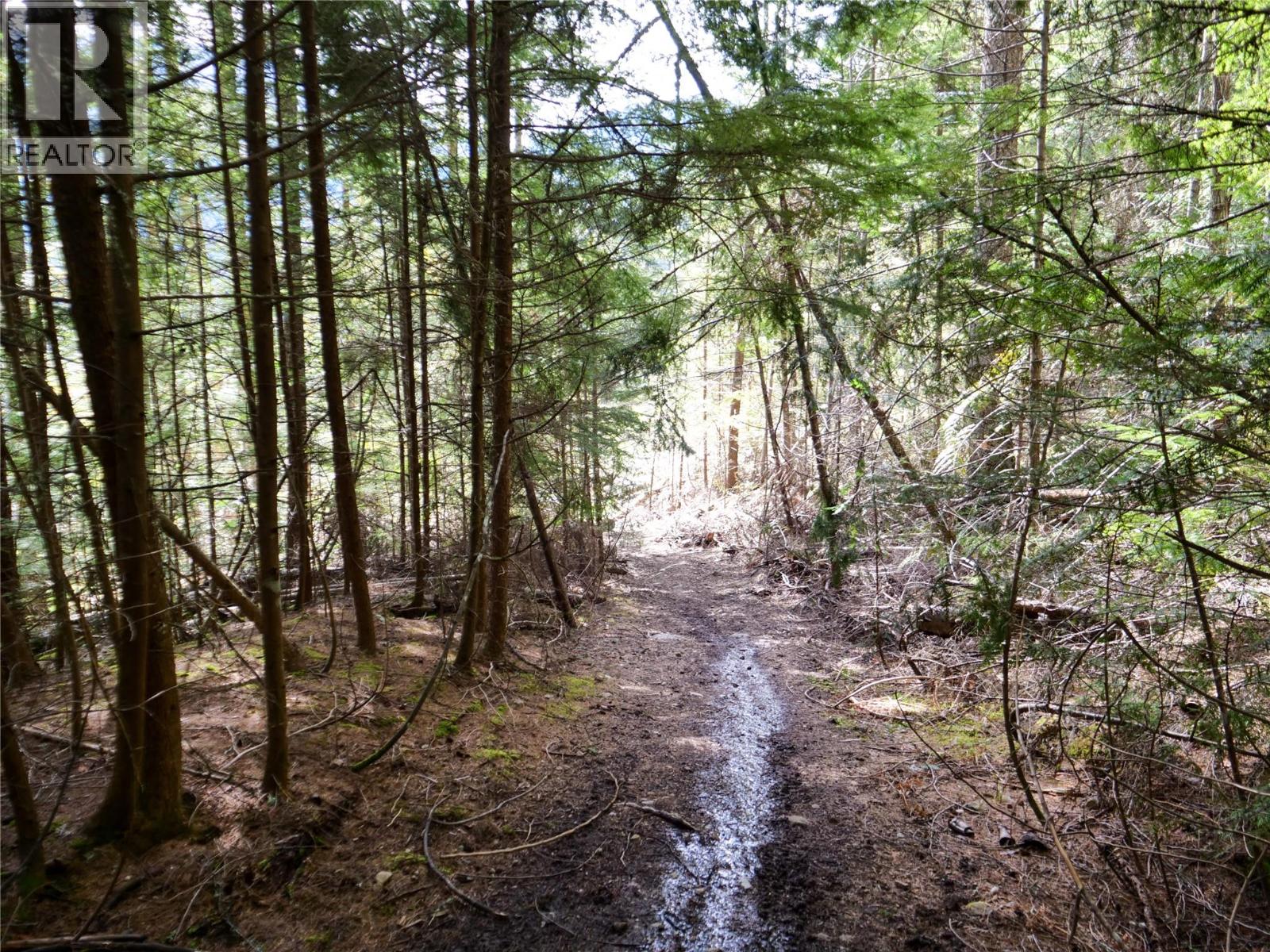 Lot 7 Annable Road, Nelson, British Columbia  V1L 6K5 - Photo 16 - 10374702