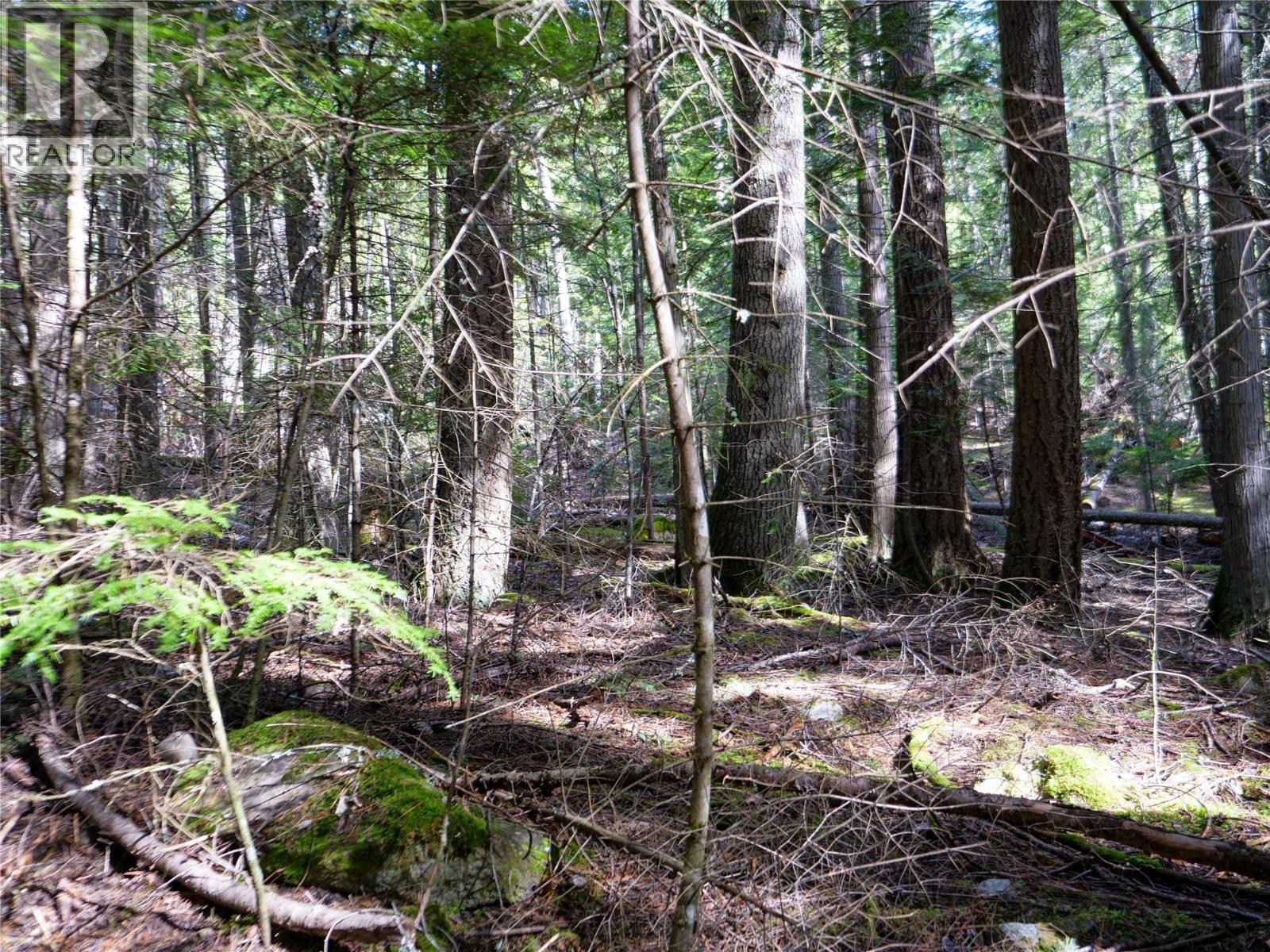 Lot 7 Annable Road, Nelson, British Columbia  V1L 6K5 - Photo 18 - 10374702