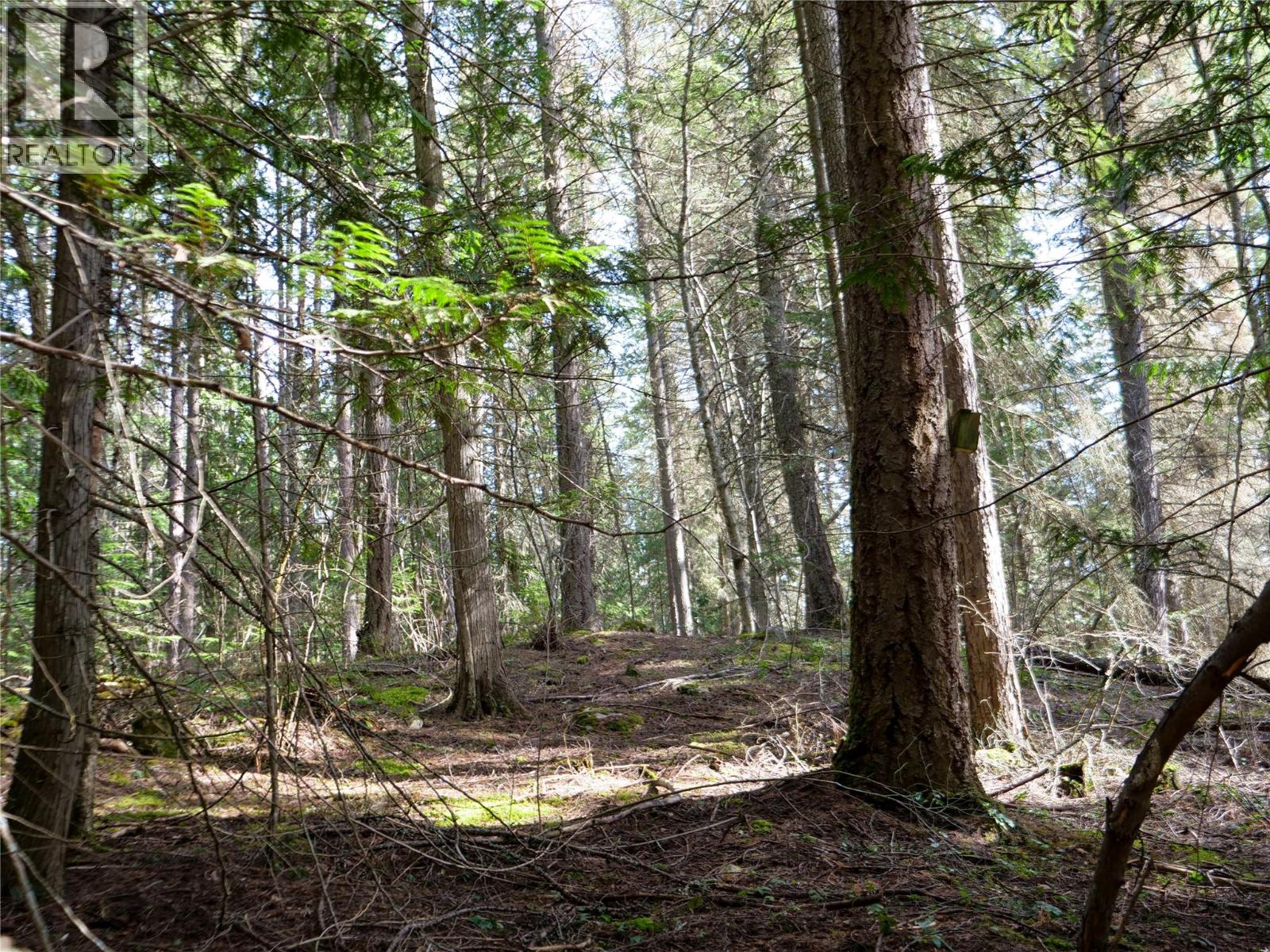 Lot 7 Annable Road, Nelson, British Columbia  V1L 6K5 - Photo 20 - 10374702