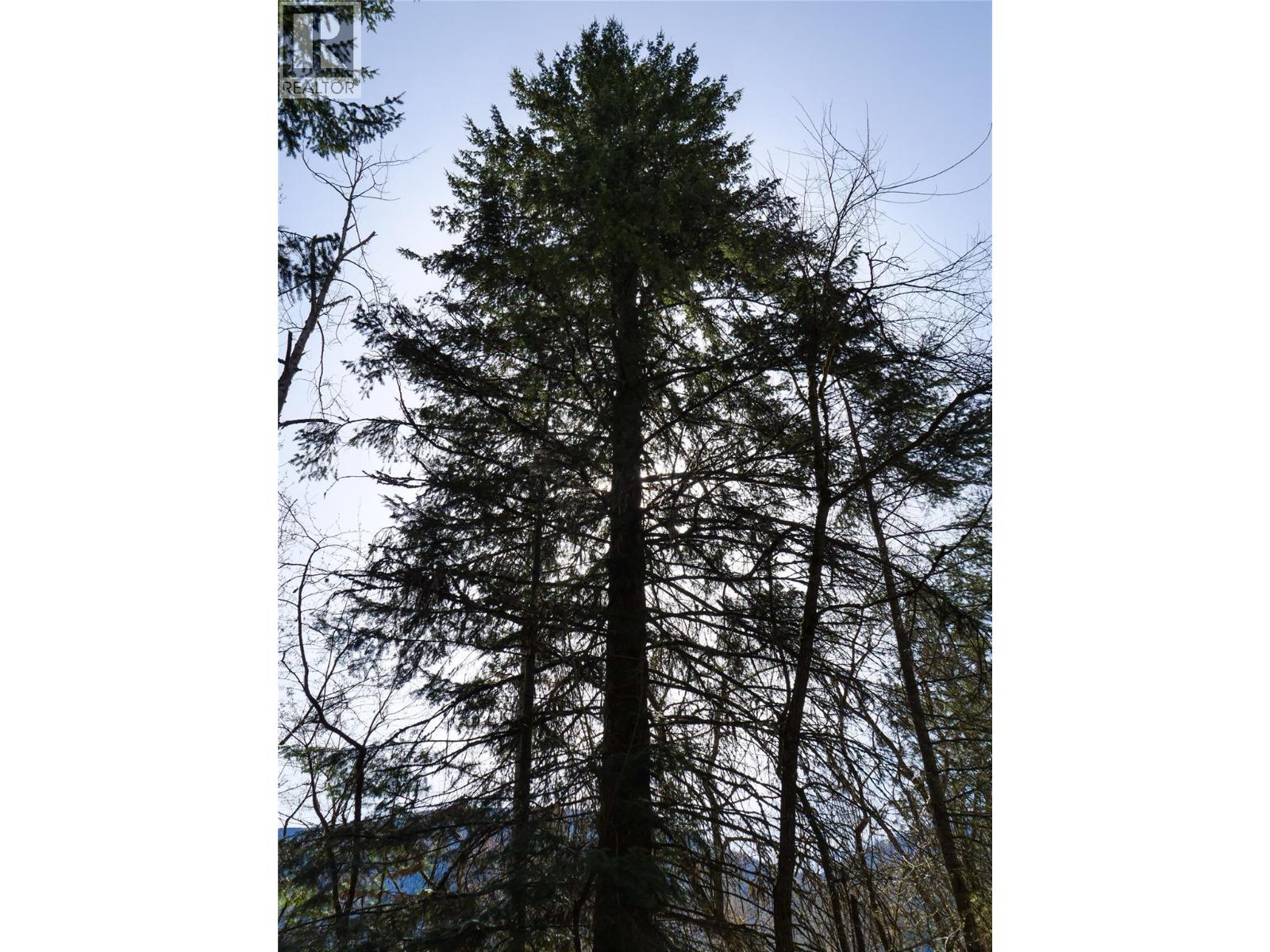 Lot 7 Annable Road, Nelson, British Columbia  V1L 6K5 - Photo 24 - 10374702