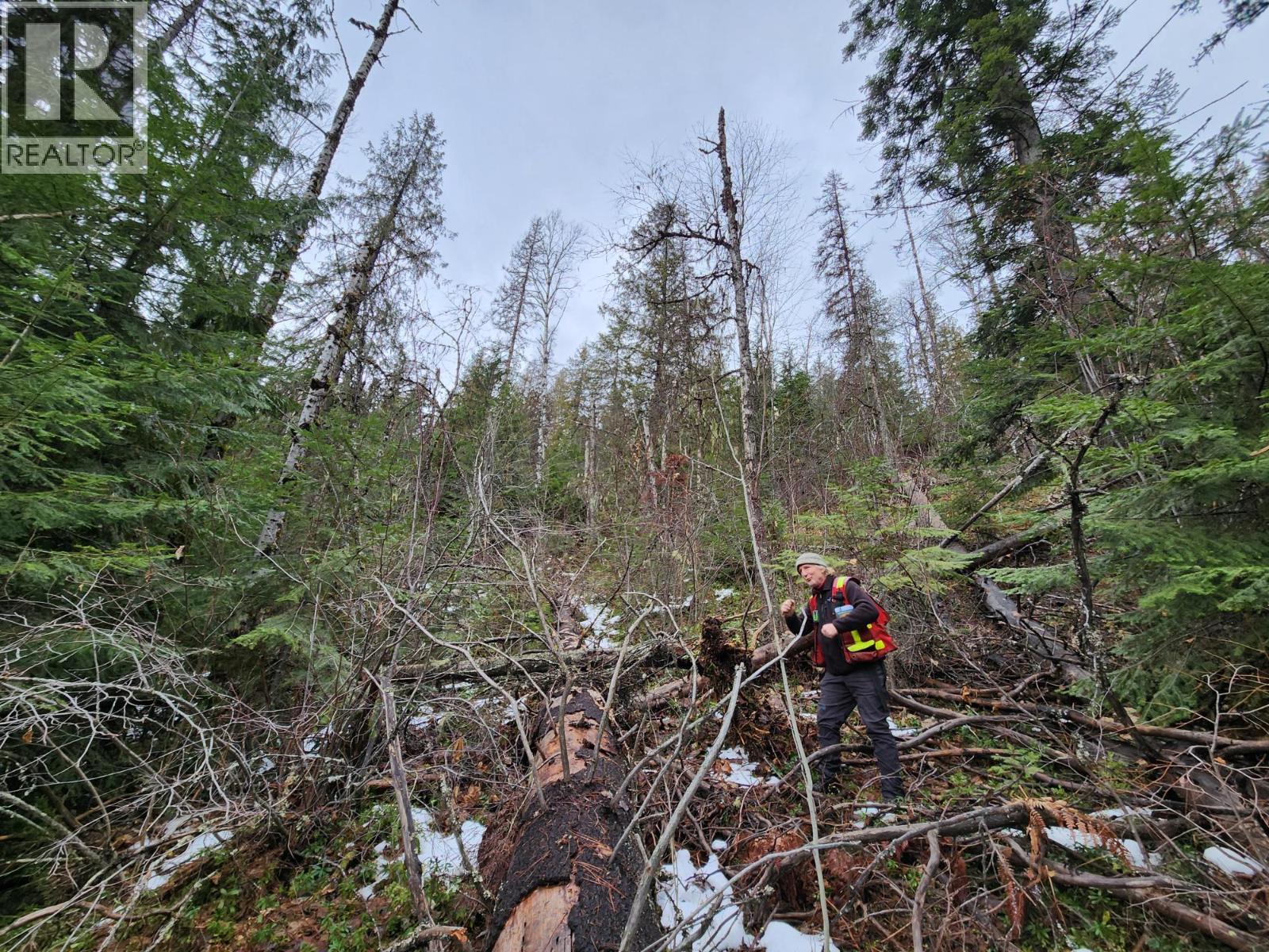 Lot 7 Annable Road, Nelson, British Columbia  V1L 6K5 - Photo 35 - 10374702