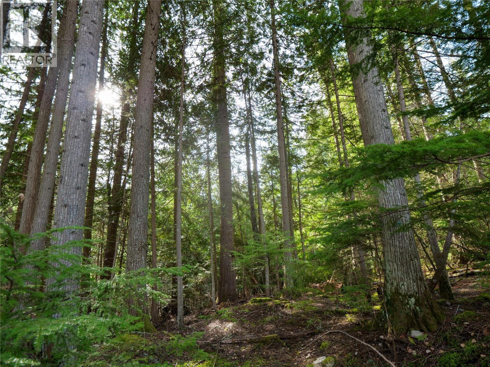 Lot 7 Annable Road, Nelson, British Columbia  V1L 6K5 - Photo 7 - 10374702