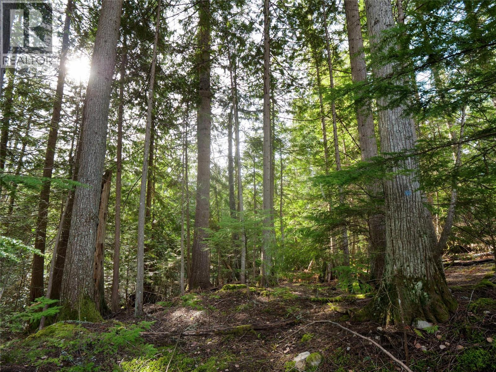 Lot 7 Annable Road, Nelson, British Columbia  V1L 6K5 - Photo 8 - 10374702