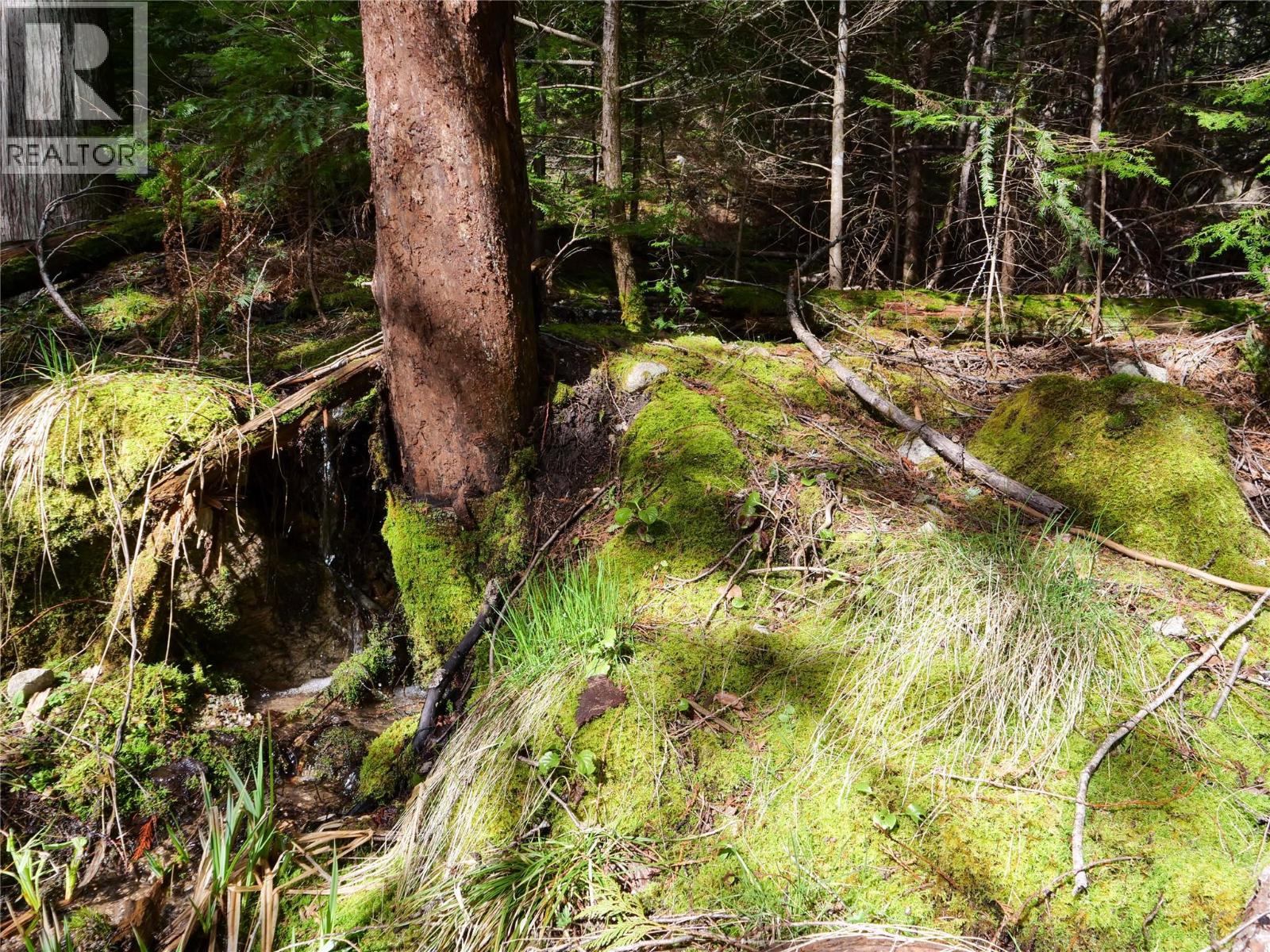 Lot 7 Annable Road, Nelson, British Columbia  V1L 6K5 - Photo 13 - 10374702