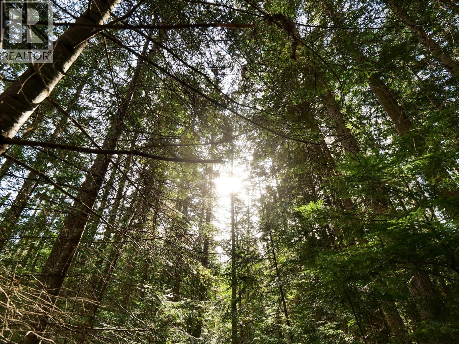 Lot 7 Annable Road, Nelson, British Columbia  V1L 6K5 - Photo 4 - 10374702