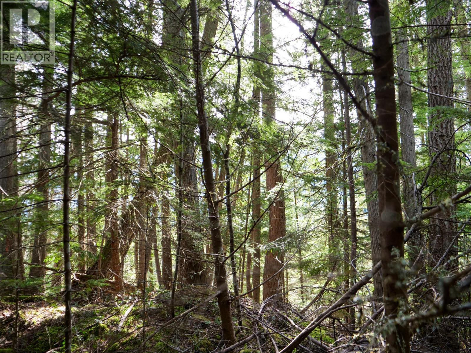 Lot 7 Annable Road, Nelson, British Columbia  V1L 6K5 - Photo 15 - 10374702