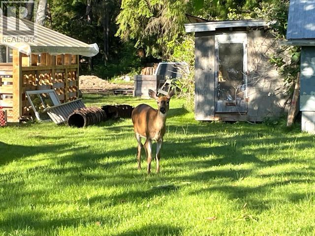 5044 Manson Ave, Powell River, British Columbia  V8A 3N9 - Photo 31 - 19525