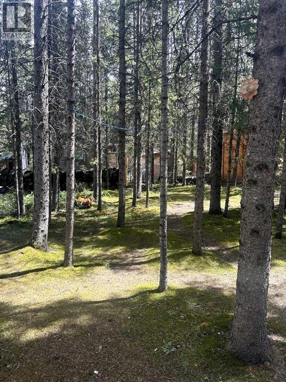 111 & 112, 200 4 Avenue Sw, Sundre, Alberta  T0M 1X0 - Photo 3 - A2236098