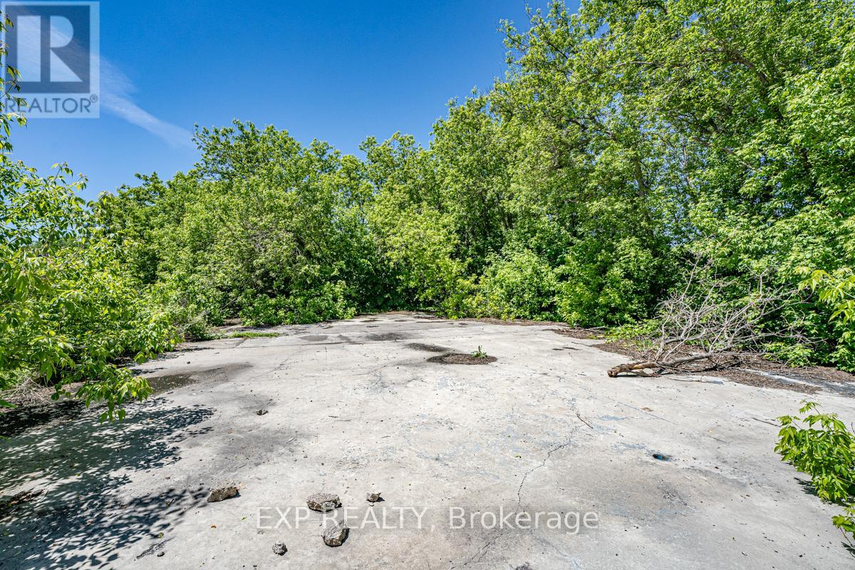 232 Main Street, Kawartha Lakes, Ontario  K0M 1A0 - Photo 16 - X12390777