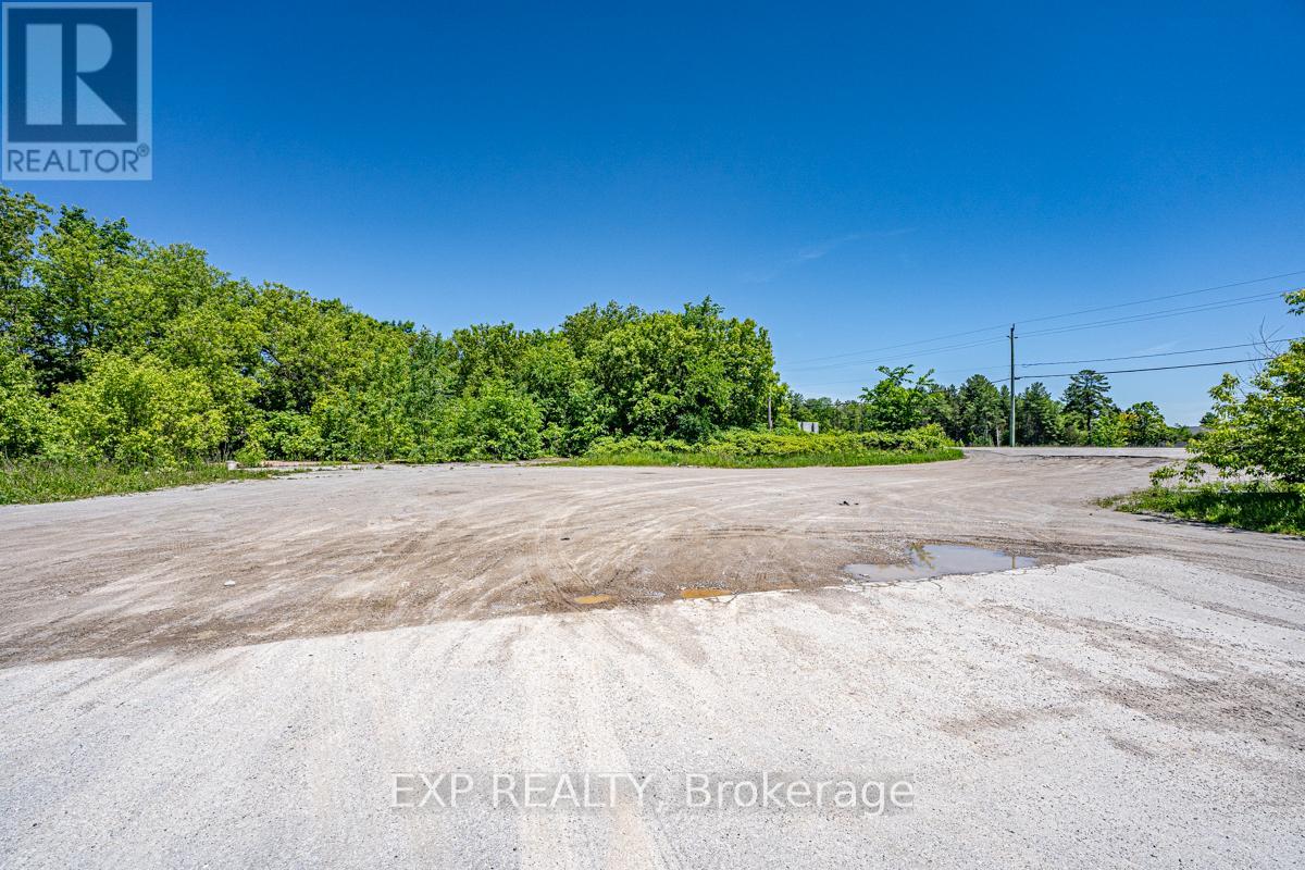 232 Main Street, Kawartha Lakes, Ontario  K0M 1A0 - Photo 9 - X12390777