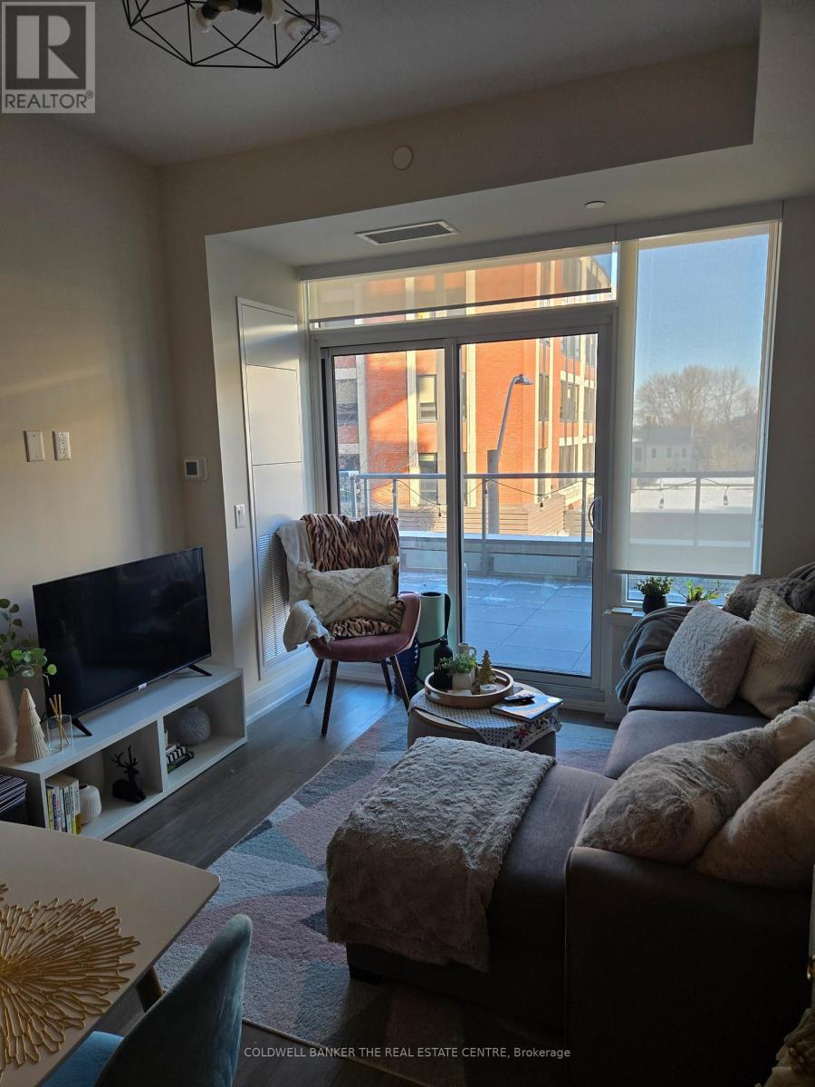 302 - 212 King William Street, Hamilton (Central), Ontario  L8R 3N9 - Photo 10 - X12770134