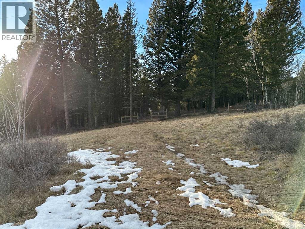 15 Kananaskis, Coleman, Alberta  T0K 0M0 - Photo 2 - A2284932