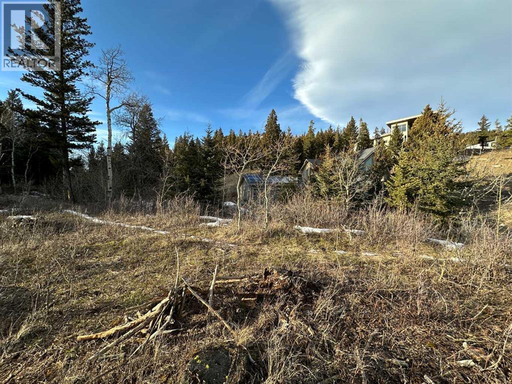 15 Kananaskis, Coleman, Alberta  T0K 0M0 - Photo 5 - A2284932