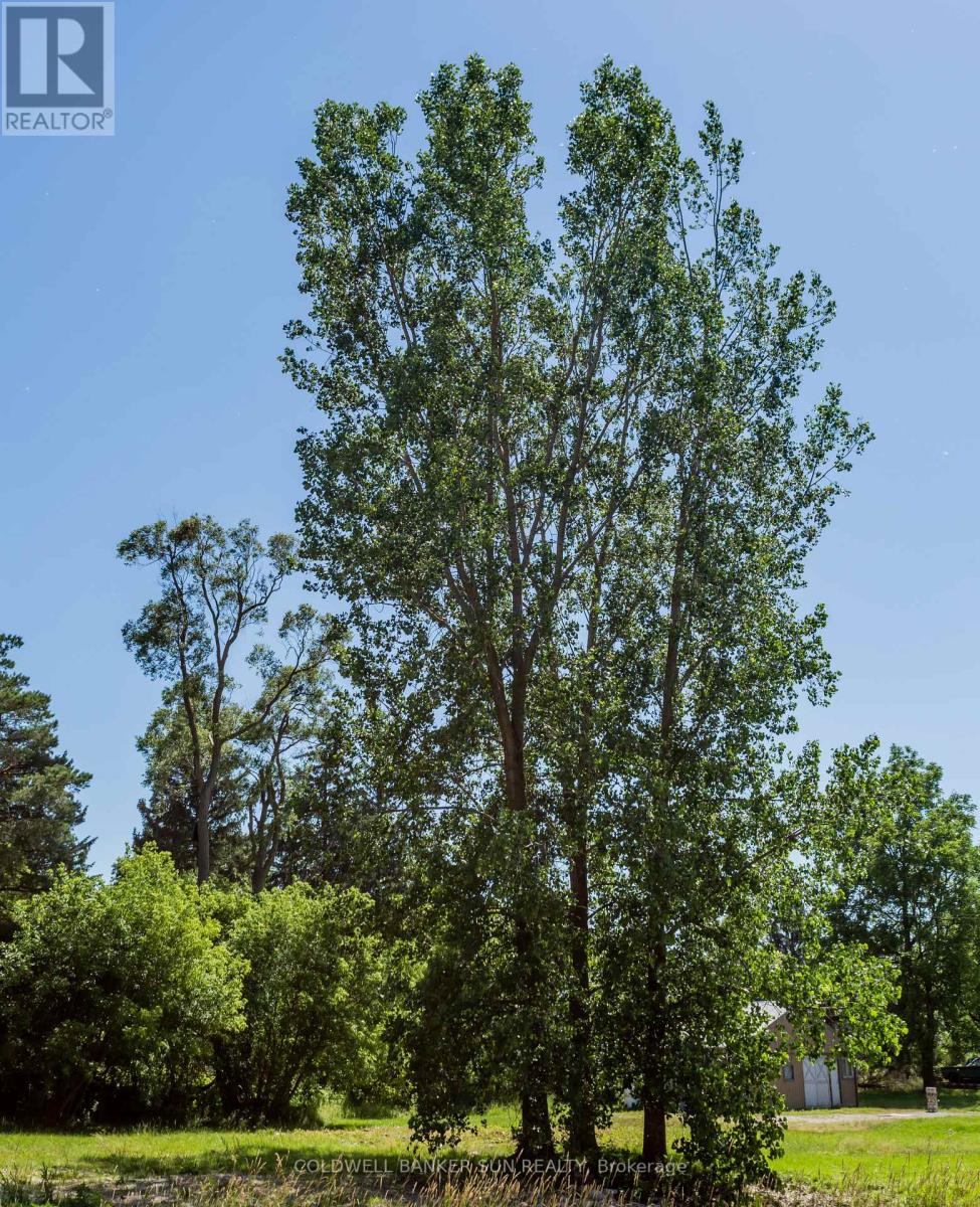 686078 Oxford Rd 2 Road, Norwich, Ontario  N4S 7V9 - Photo 43 - X12637888