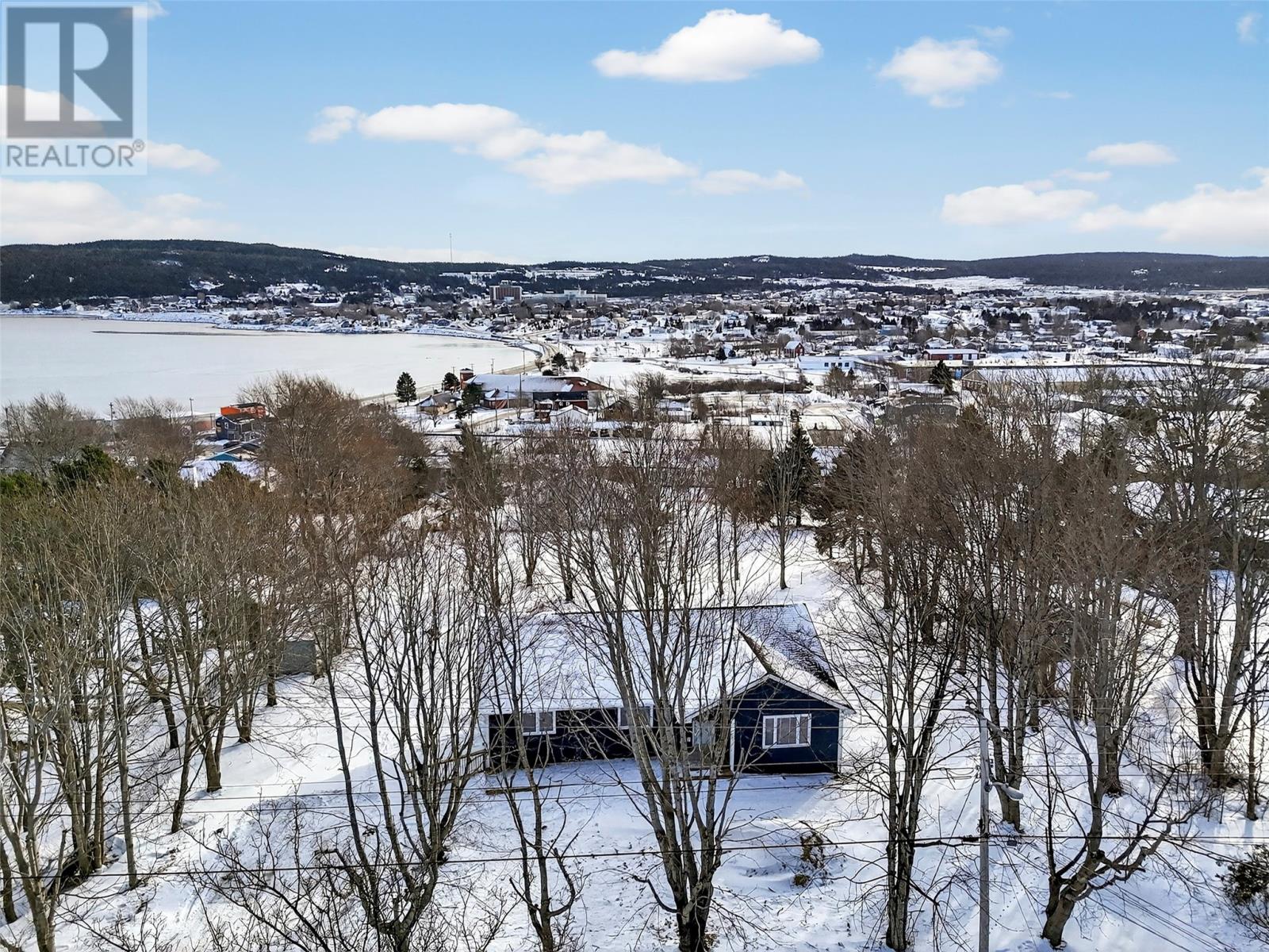 51 Crowdy Street, Carbonear, Newfoundland & Labrador  A1Y 1B5 - Photo 14 - 1294209