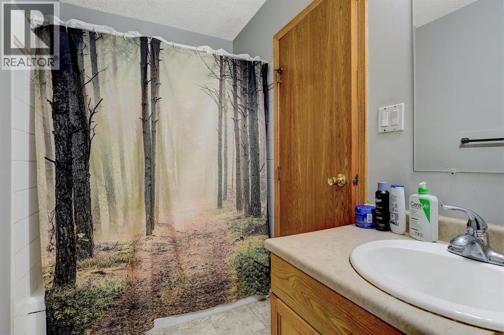 9514 76 Avenue, Grande Prairie, Alberta  T8V 4T6 - Photo 10 - A2284591