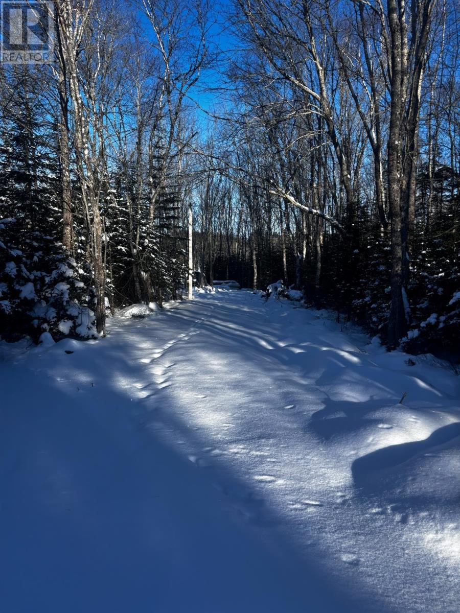 Lot 29 Salmon Run Road, Newburne, Nova Scotia  B0J 2E0 - Photo 14 - 202601897