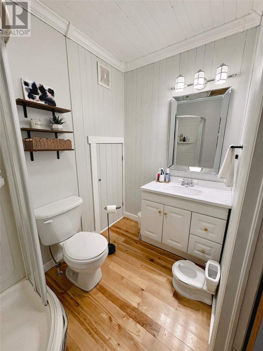 40 Coronation Street, Grand Falls-Windsor, Newfoundland & Labrador  A2B 1E2 - Photo 12 - 1294398