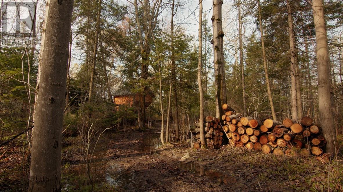 81 High Falls Road, Assiginack, Ontario  P0P 1N0 - Photo 30 - 2126371