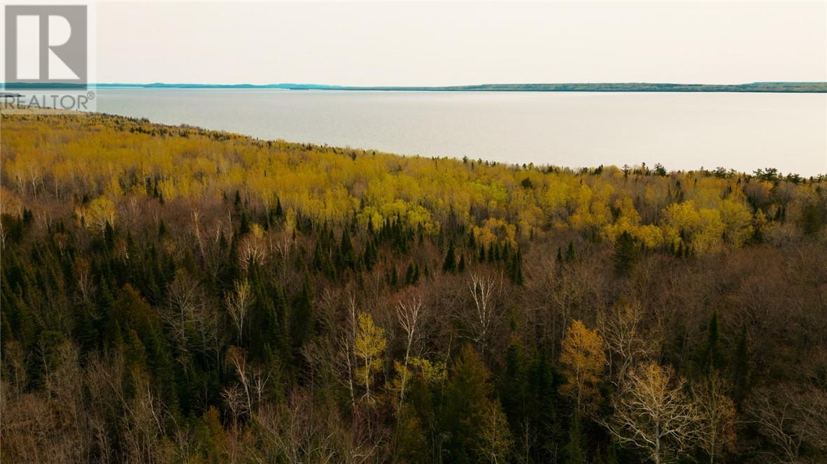 81 High Falls Road, Assiginack, Ontario  P0P 1N0 - Photo 8 - 2126371