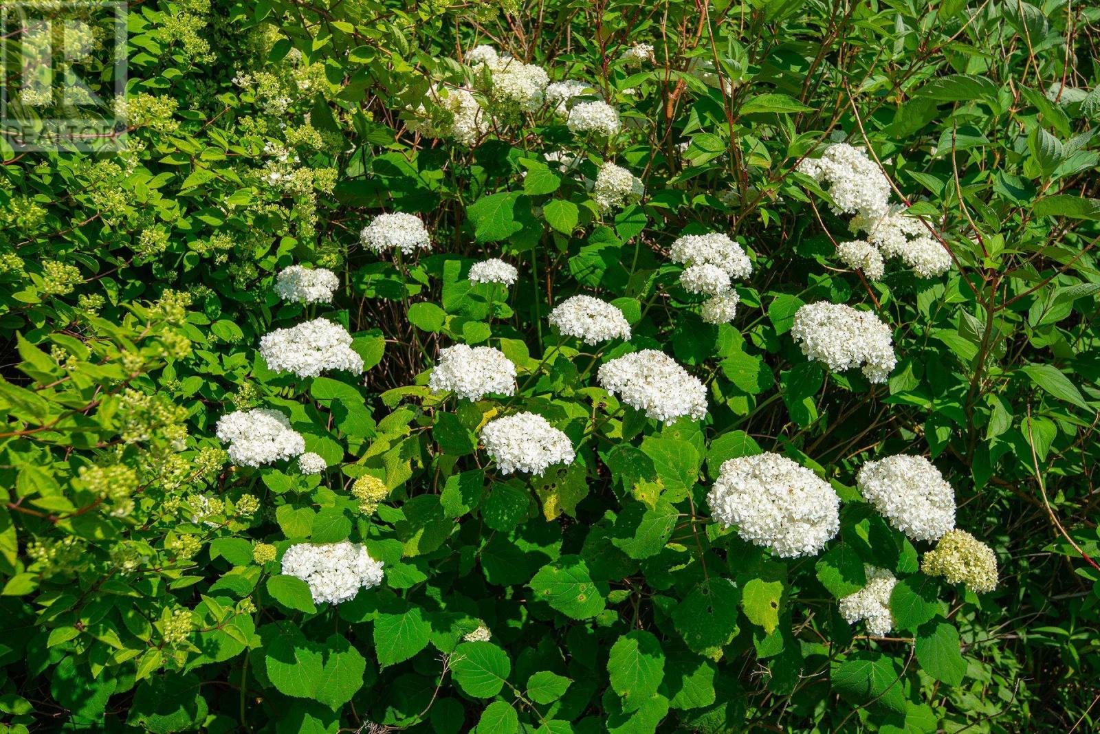 8402 Highway 1, Meteghan, Nova Scotia  B0W 2J0 - Photo 43 - 202528473