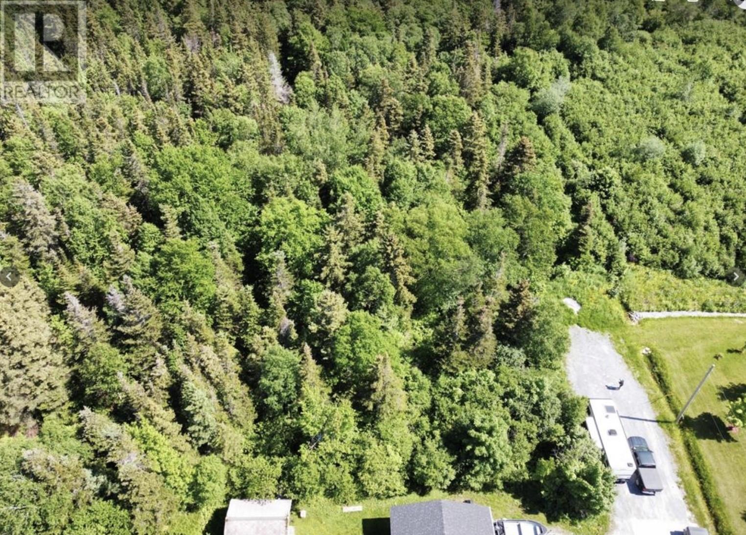 21-35 Bishop Avenue, Pasadena, Newfoundland & Labrador  A2H 1K0 - Photo 3 - 1294361