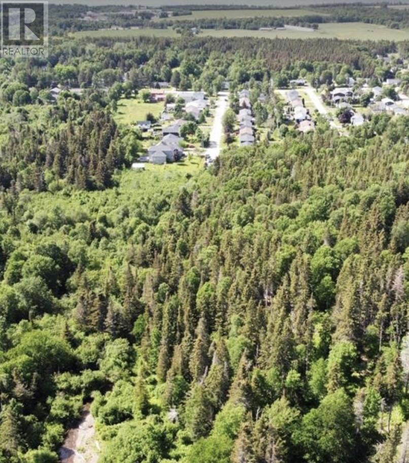 21-35 Bishop Avenue, Pasadena, Newfoundland & Labrador  A2H 1K0 - Photo 5 - 1294361