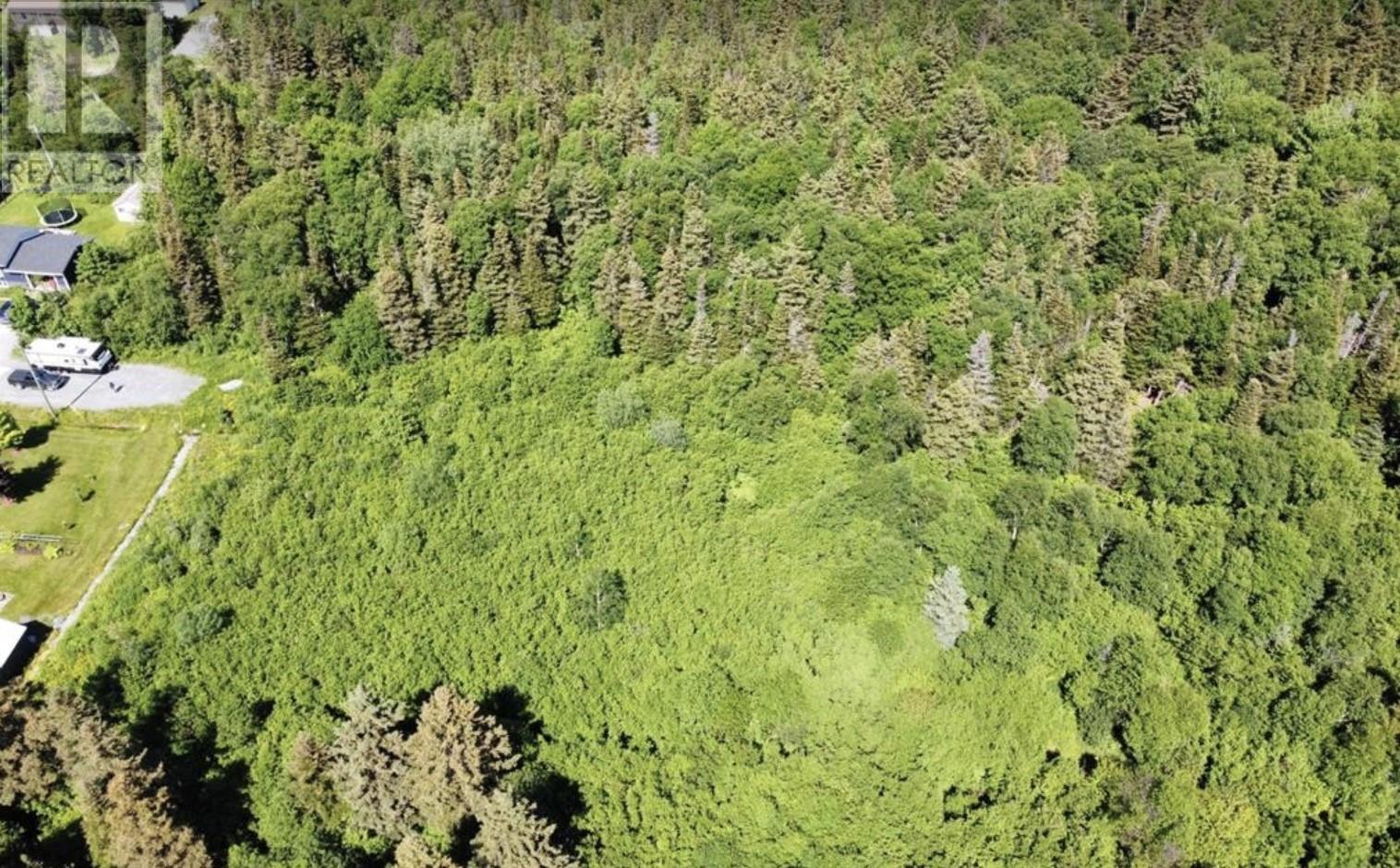 21-35 Bishop Avenue, Pasadena, Newfoundland & Labrador  A2H 1K0 - Photo 6 - 1294361