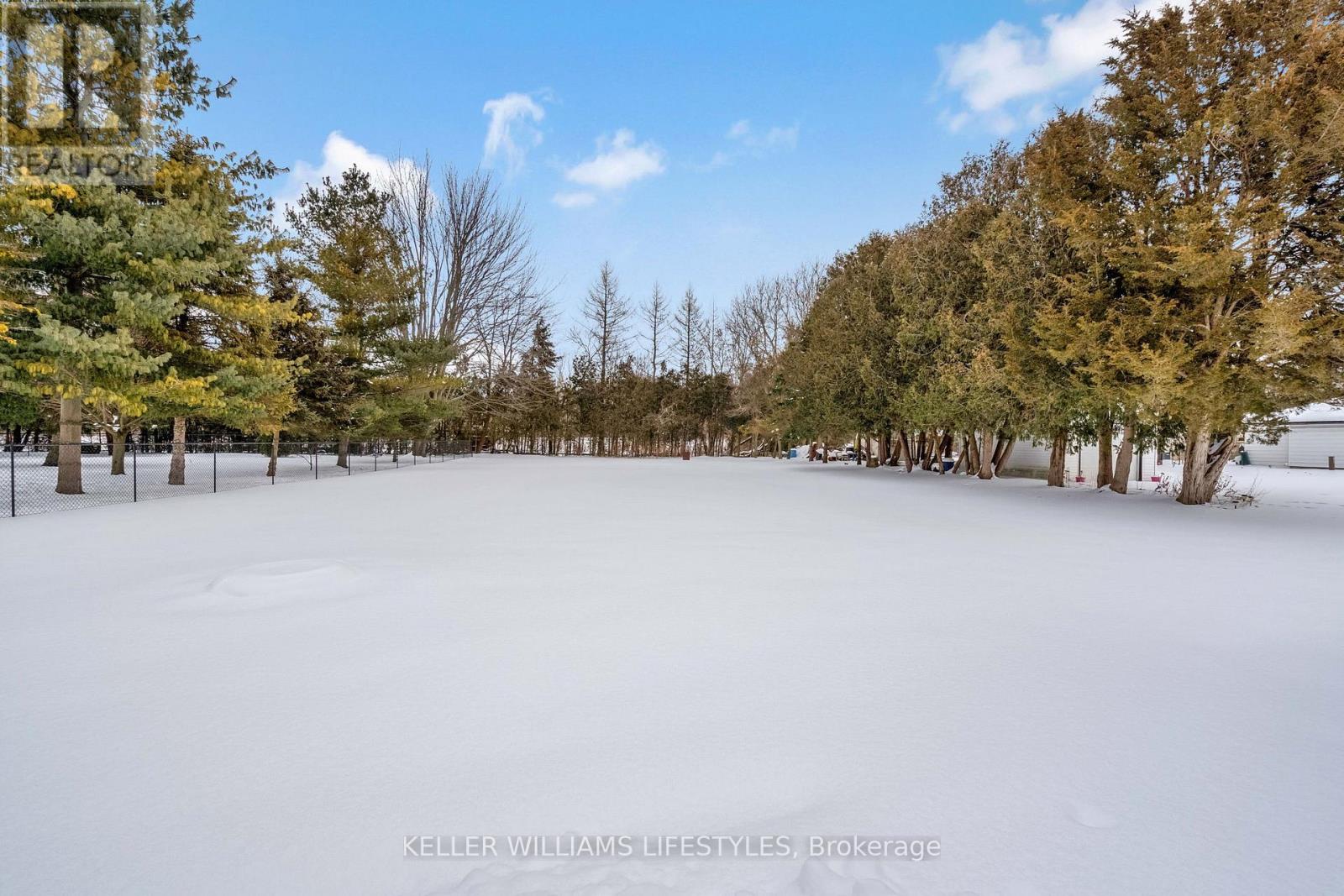 Photo 38 of 43 for 40 York Street