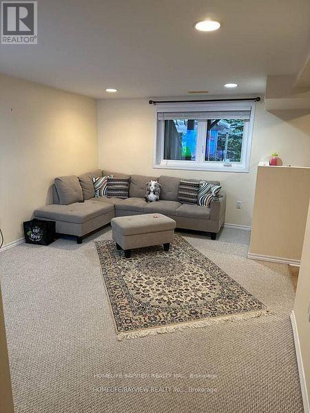 Lower - 798 Hilton Boulevard, Newmarket, Ontario  L3X 2H6 - Photo 12 - N12770548