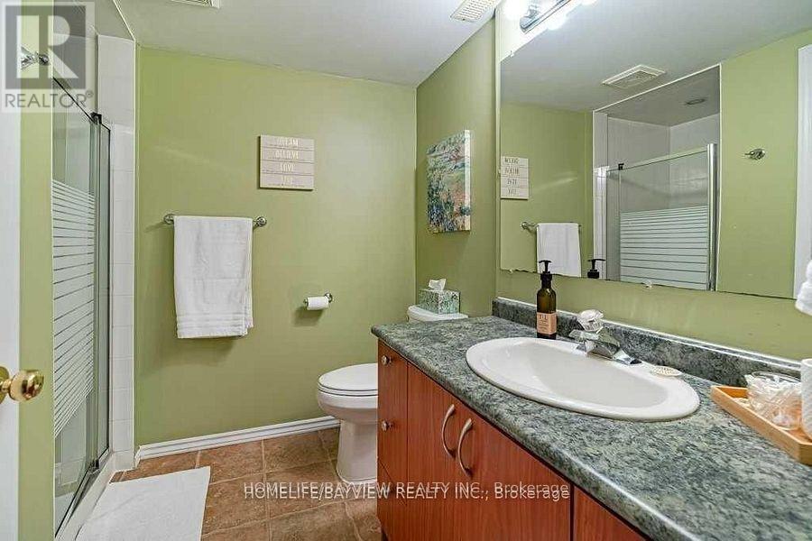 Lower - 798 Hilton Boulevard, Newmarket, Ontario  L3X 2H6 - Photo 15 - N12770548