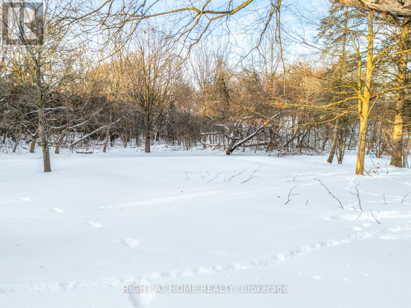 735 Srigley Street, Newmarket (Gorham-College Manor), Ontario  L3Y 1X6 - Photo 29 - N12756068