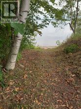 326 Cressy Bayside Road, Prince Edward County (North Marysburgh), Ontario  K0K 2T0 - Photo 41 - X12770718