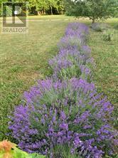 326 Cressy Bayside Road, Prince Edward County (North Marysburgh), Ontario  K0K 2T0 - Photo 46 - X12770718