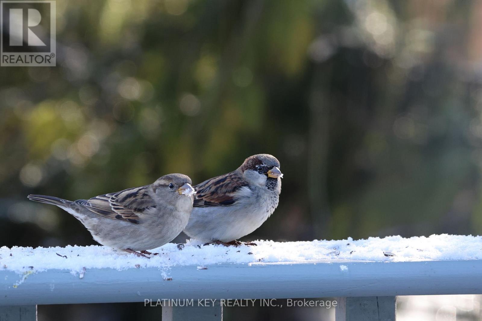 Photo 29 of 35 for 237a Stella Avenue