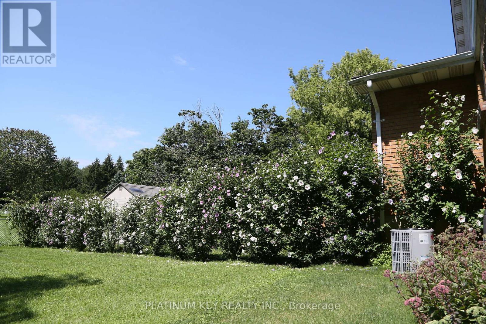 Photo 32 of 35 for 237a Stella Avenue