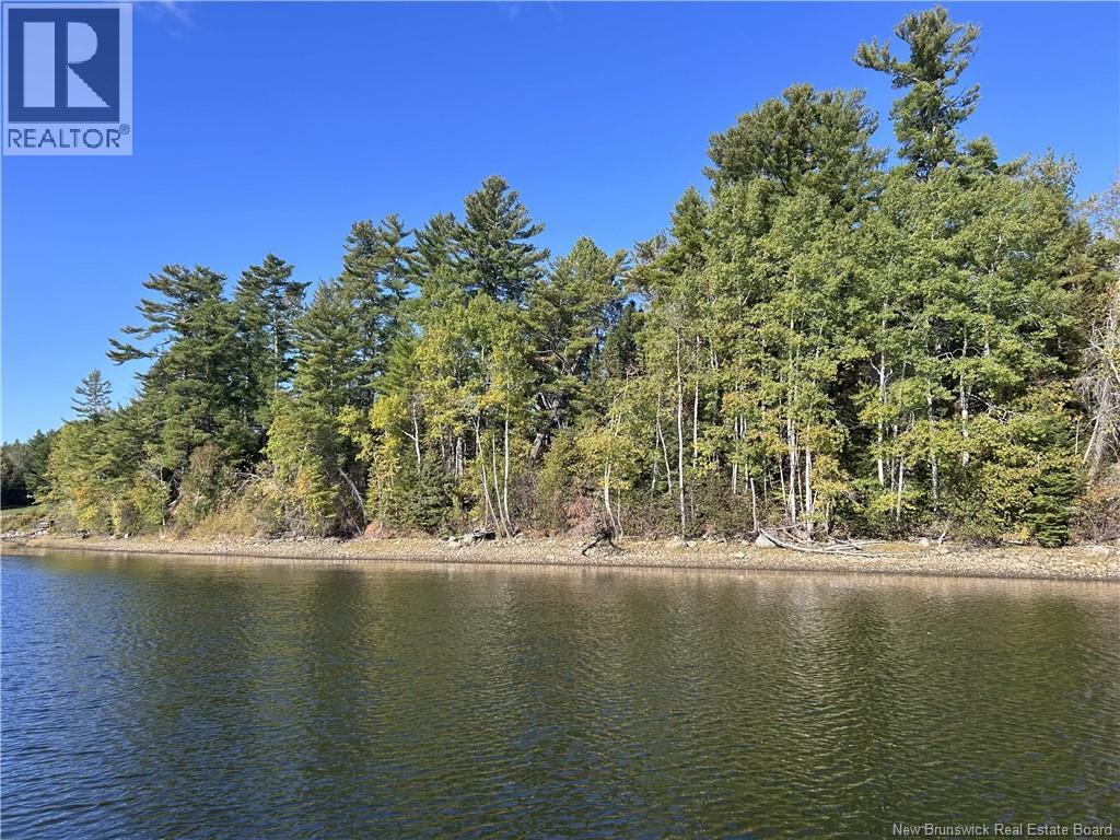 6.58 Acres Route 108, Derby Junction, New Brunswick E1V 5J1 - Photo 9 - NB133303