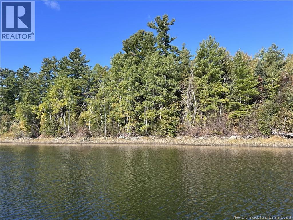 6.58 Acres Route 108, Derby Junction, New Brunswick E1V 5J1 - Photo 8 - NB133303