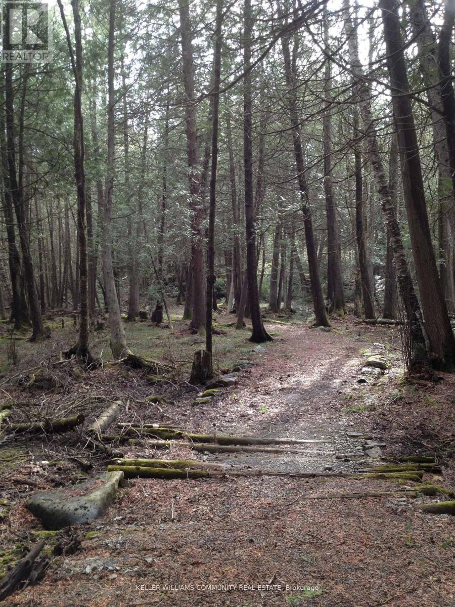 197 Hillside Drive, Kawartha Lakes (Somerville), Ontario  K0M 1C0 - Photo 41 - X12770746