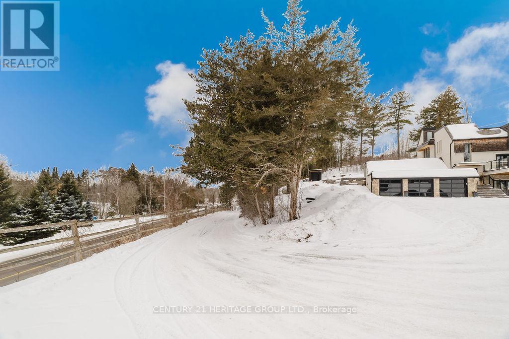 2816 Mt Albert Road, East Gwillimbury (Queensville), Ontario  L0G 1R0 - Photo 35 - N12770794